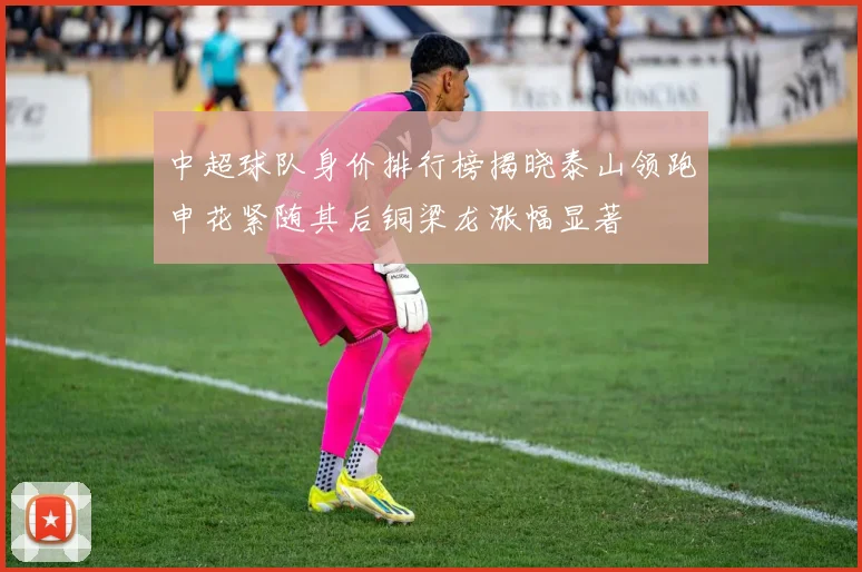 中超球队身价排行榜揭晓泰山领跑申花紧随其后铜梁龙涨幅显著